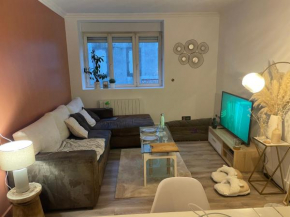 Magnifique appartement Brest